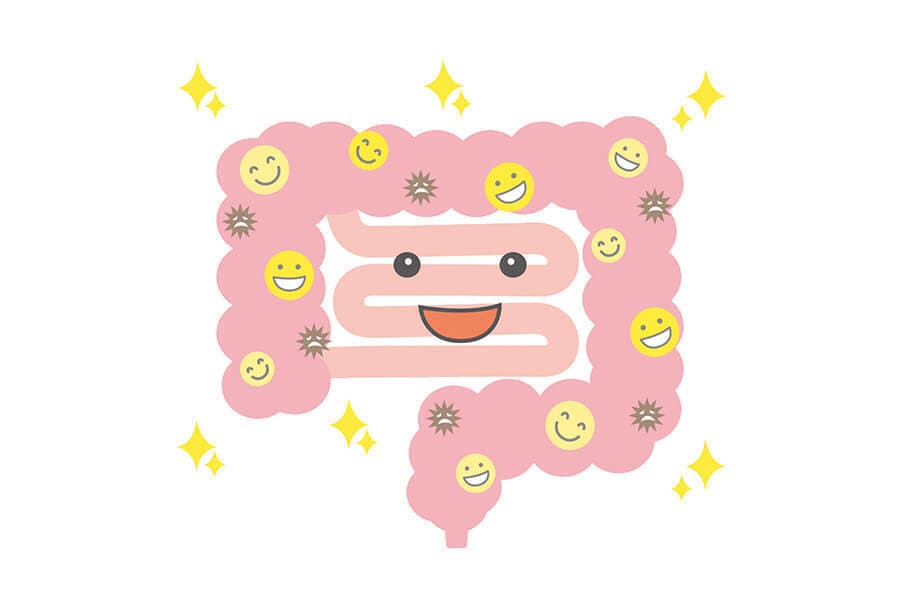 腸内環境セミナー|健康経営